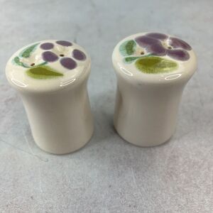 Floral by Franciscan Salt and Pepper Shaker Set 3" Vintage Earthenware USA